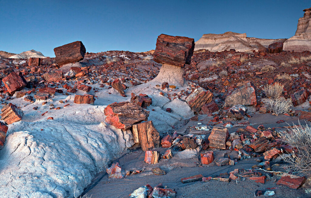 Otherworldly scenery at Petrified Forest National Park in Arizona